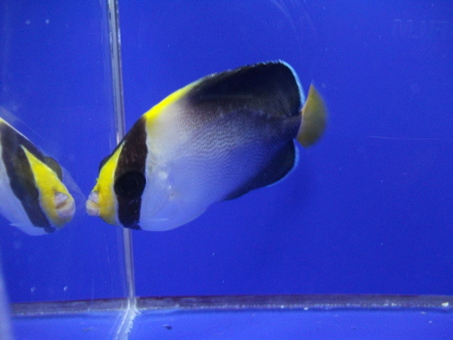 DSCF0042.JPG