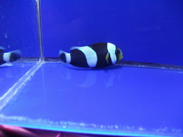 DSCF0124.JPG