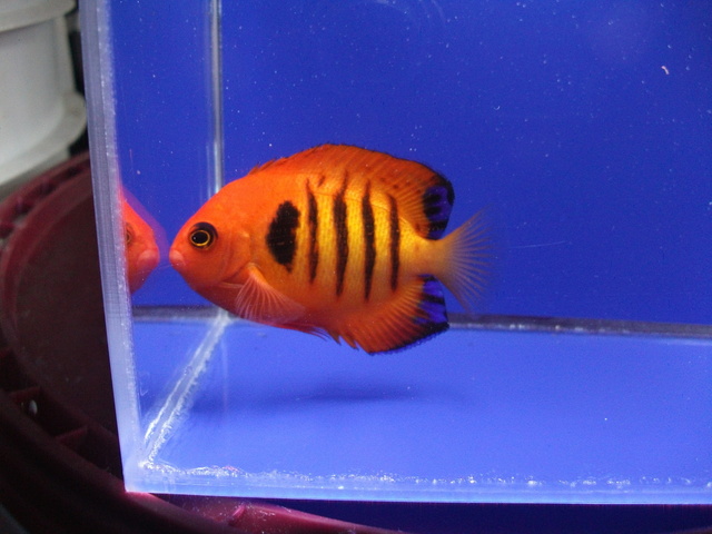 DSCF0155.JPG