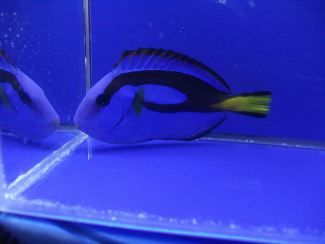 DSCF0183.JPG