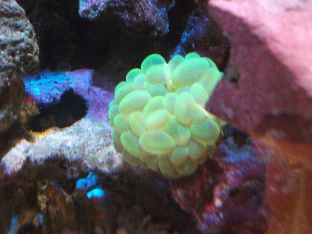 DSCF0193.JPG