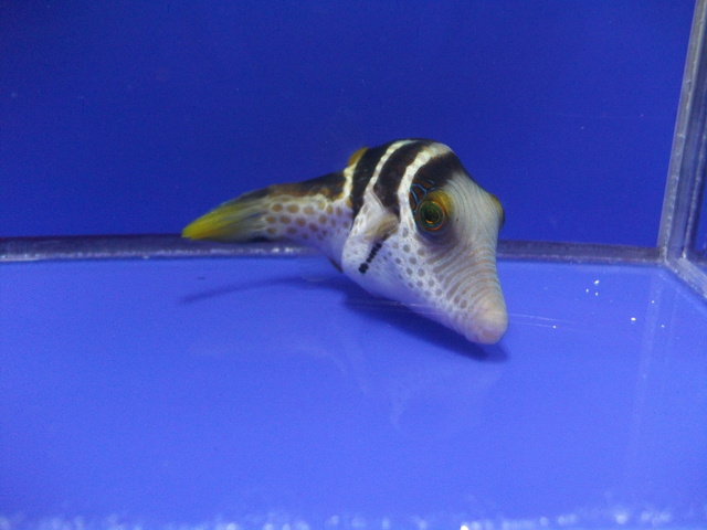 DSCF0283.JPG