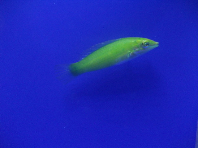DSCF9251.JPG