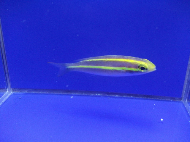 DSCF9262.JPG
