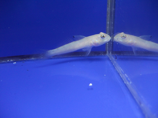 DSCF9273.JPG
