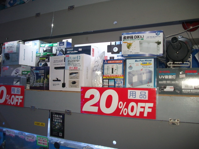 DSCF9361.JPG
