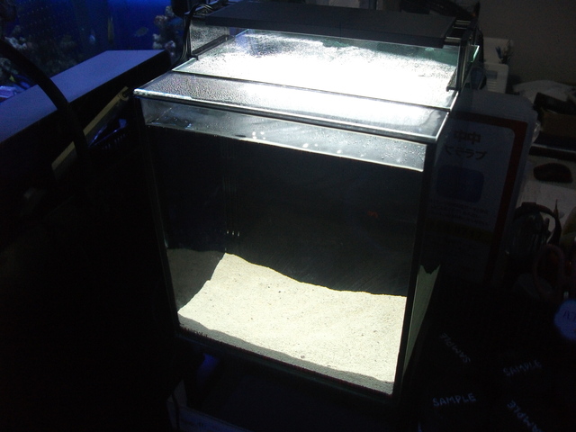 DSCF9463.JPG