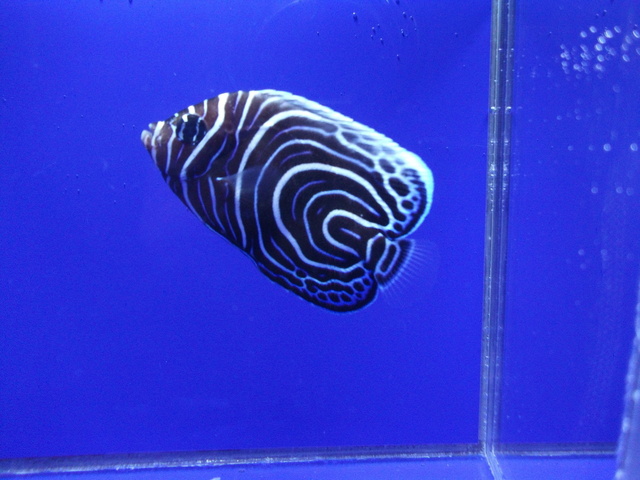 DSCF9481.JPG