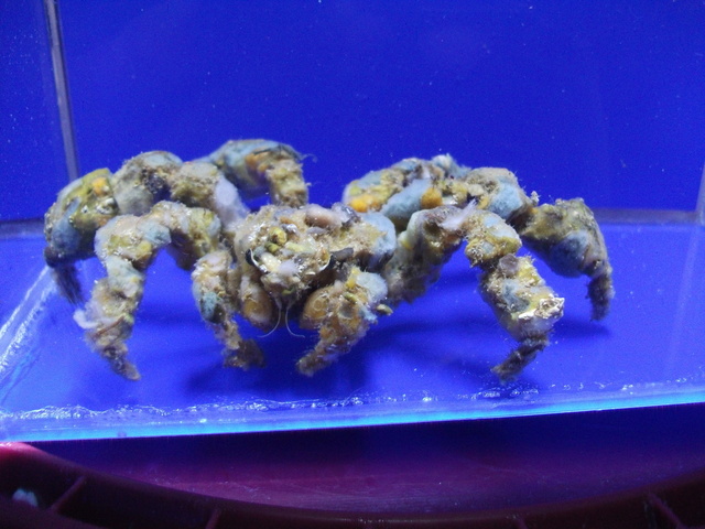 DSCF9487.JPG