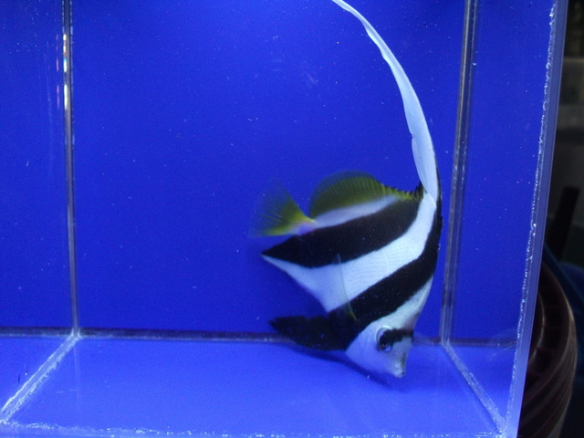 DSCF9497.JPG