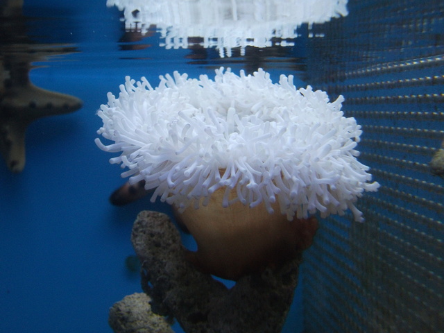 DSCF9925.JPG