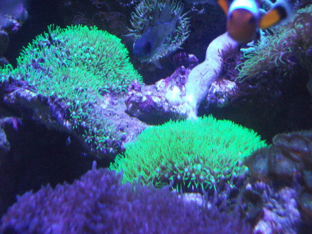 DSCF9928.JPG