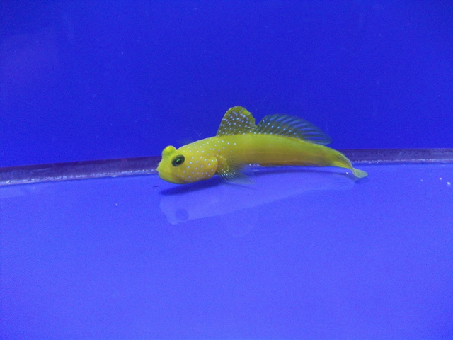 DSCF9935.JPG