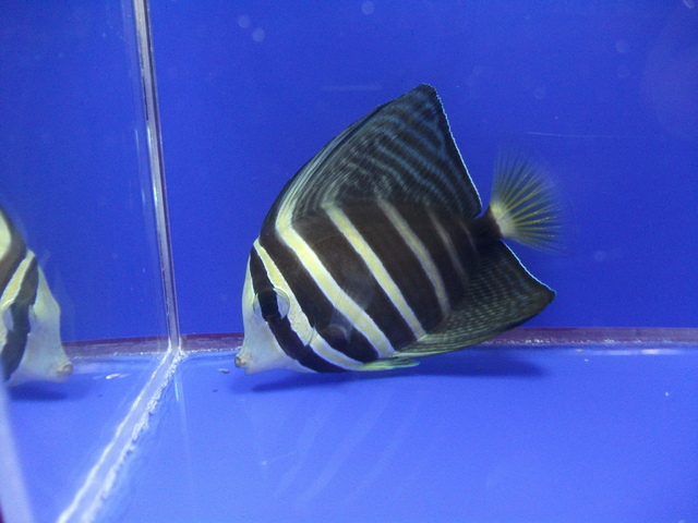 DSCF9957.JPG