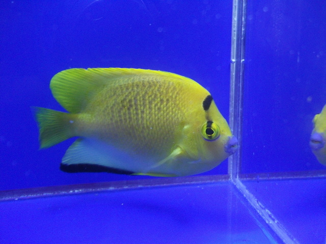 DSCF9961.JPG