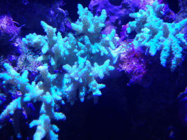P4192264.JPG