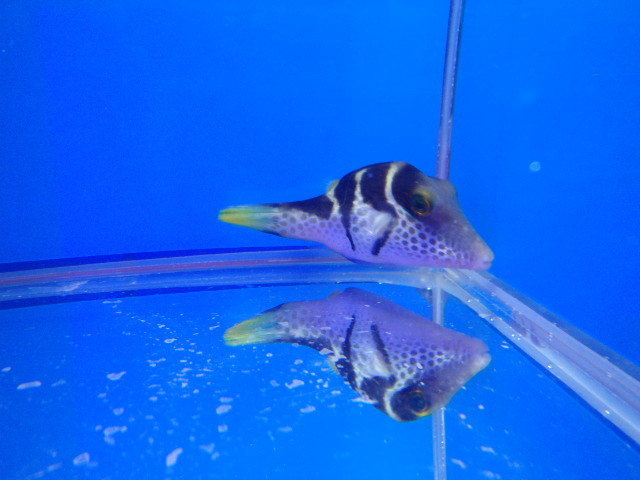 PB113141.JPG