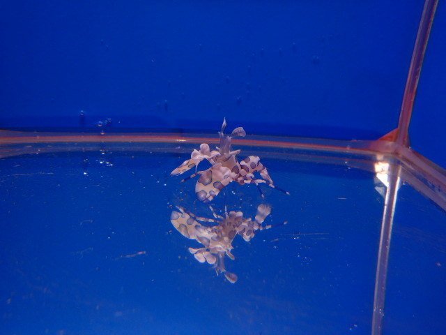 PB123169.JPG