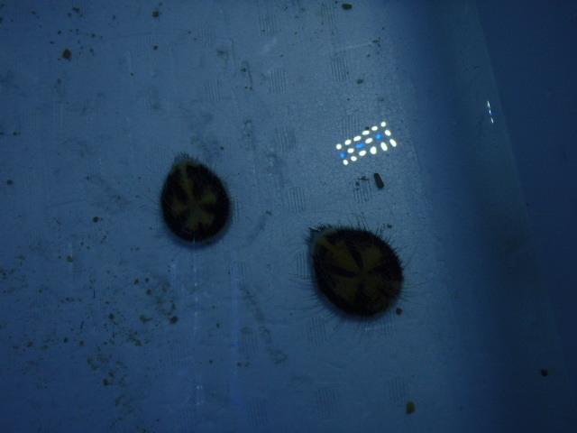PB123172.JPG