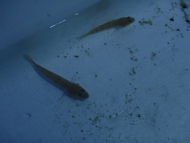 PB123173.JPG
