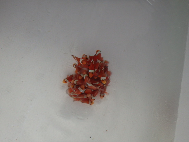 PB123180.JPG