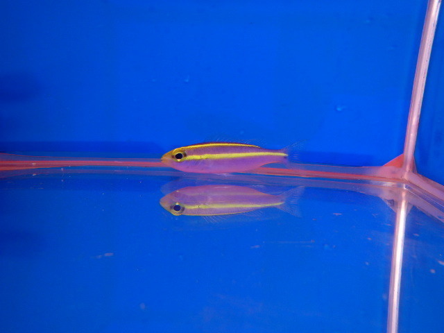 PB123187.JPG