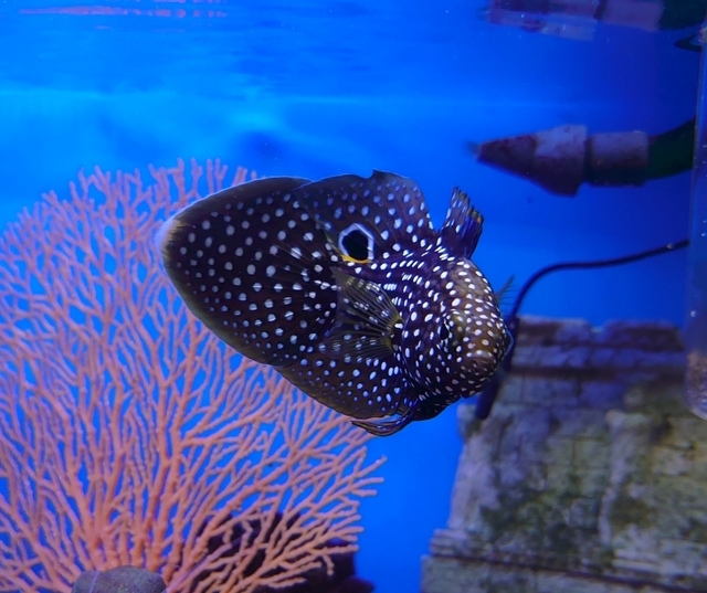 _20221125_ｼﾓﾌﾘ.JPG