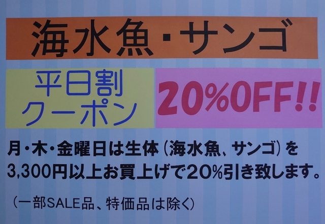 _20230603_平日割生体.JPG